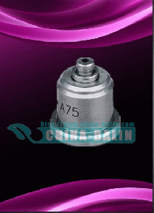 delivery valve 090140-1000, A20, A43