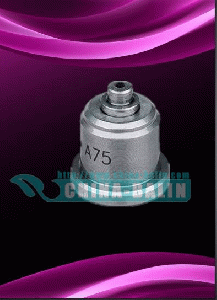 A type delivery valve 131110-5220, 131110-5320, 131110-5520 